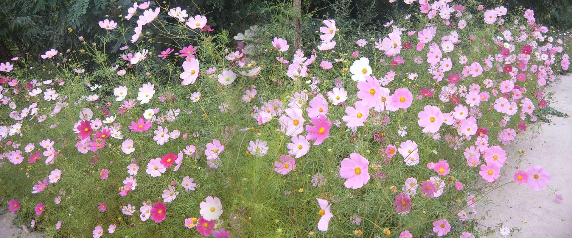 三高原山莊